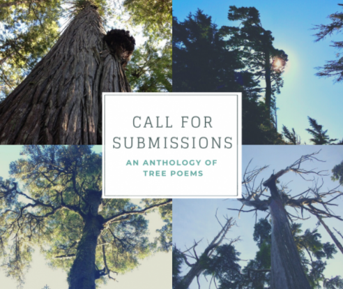 bcwriters's tweet photo. Call for submissions from Caitlin Press, An Anthology of Tree Poems: 
https://t.co/l0faMDMh8O https://t.co/4XjhoSB7ve