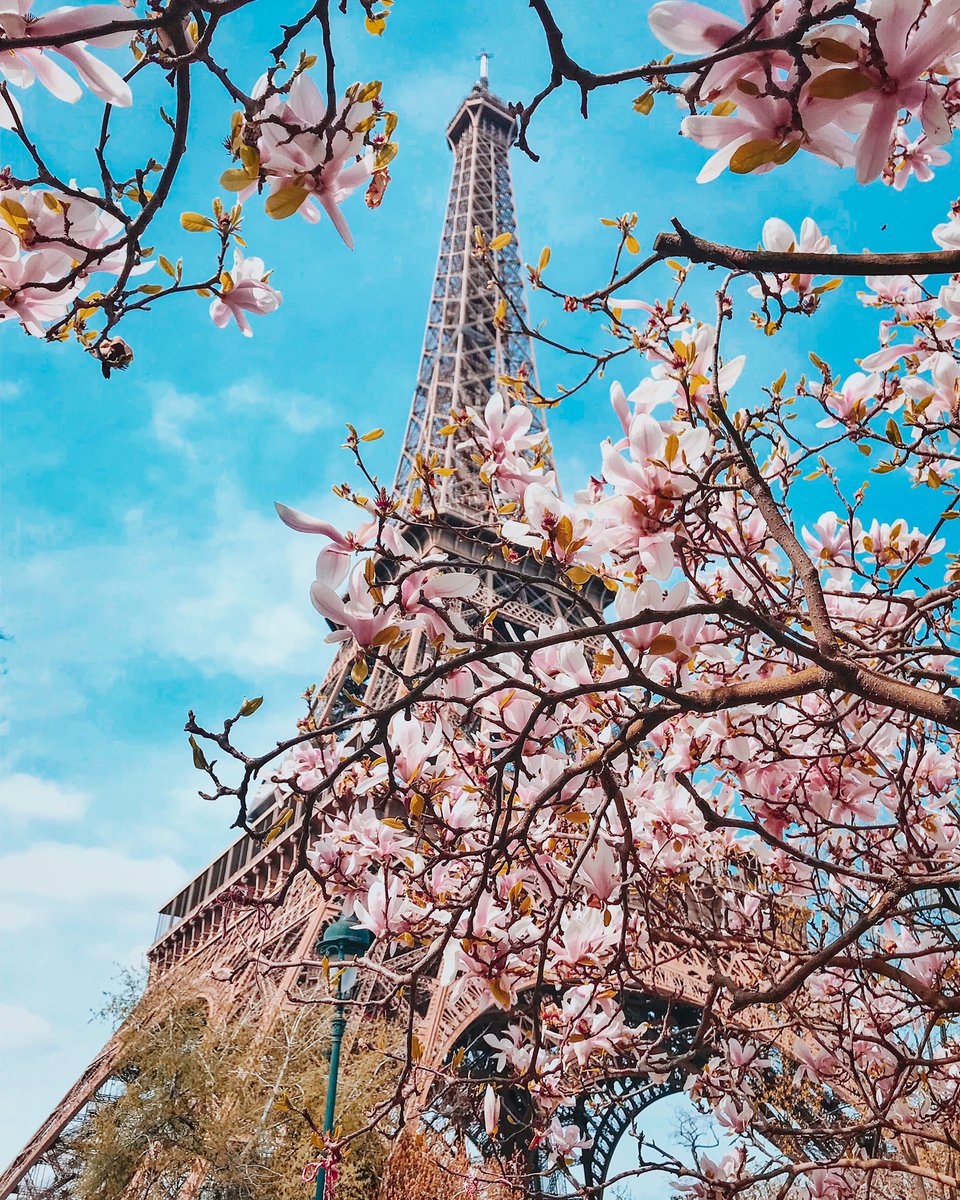 seb_gordon's tweet image. Spirit of springtime✨
#paris #shotoniphone #eiffelofficielle
