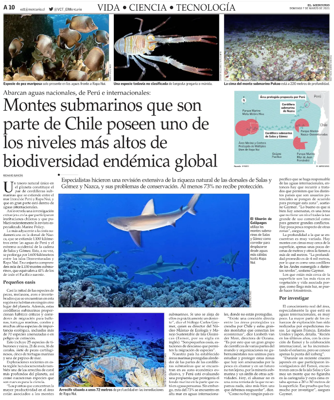 cleporati's tweet photo. Montes submarinos que son parte de Chile poseen uno de los niveles más altos de biodiversidad endémica global, y a pesar de esto, al menos un 73% no recibe protección. https://t.co/G0C0P4f76i