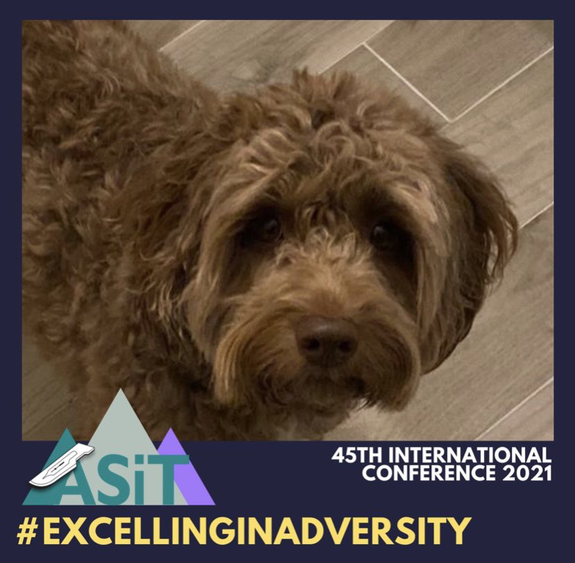 ChristinaFleming tweet media