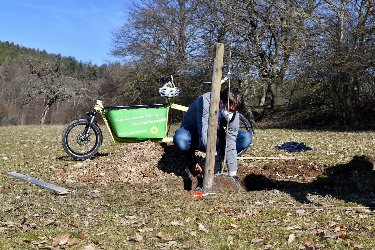 Zack, eingepflanzt! 💪
Wer mich wählt, wählt Streuobstwiesen!
#MichelstadtGewinnt 🌳🌱🍎🍐