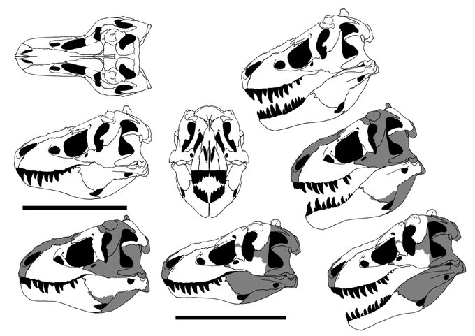 Asaさん の最近のツイート 26 Whotwi グラフィカルtwitter分析