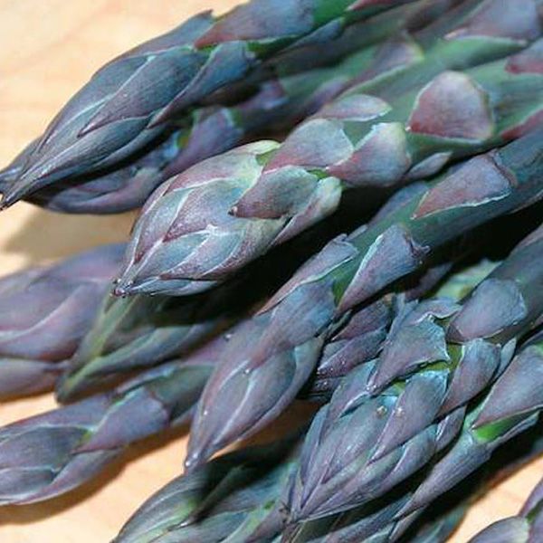 ThompsonMorgan's tweet image. Grow your own fresh asparagus and, once established, you can enjoy this luxury treat for up to 25 years! Read our dedicated #GardeningGuide today to learn more: thompson-morgan.com/how-to-grow-as…  #GrowingGuide #VegGarden #Gardening