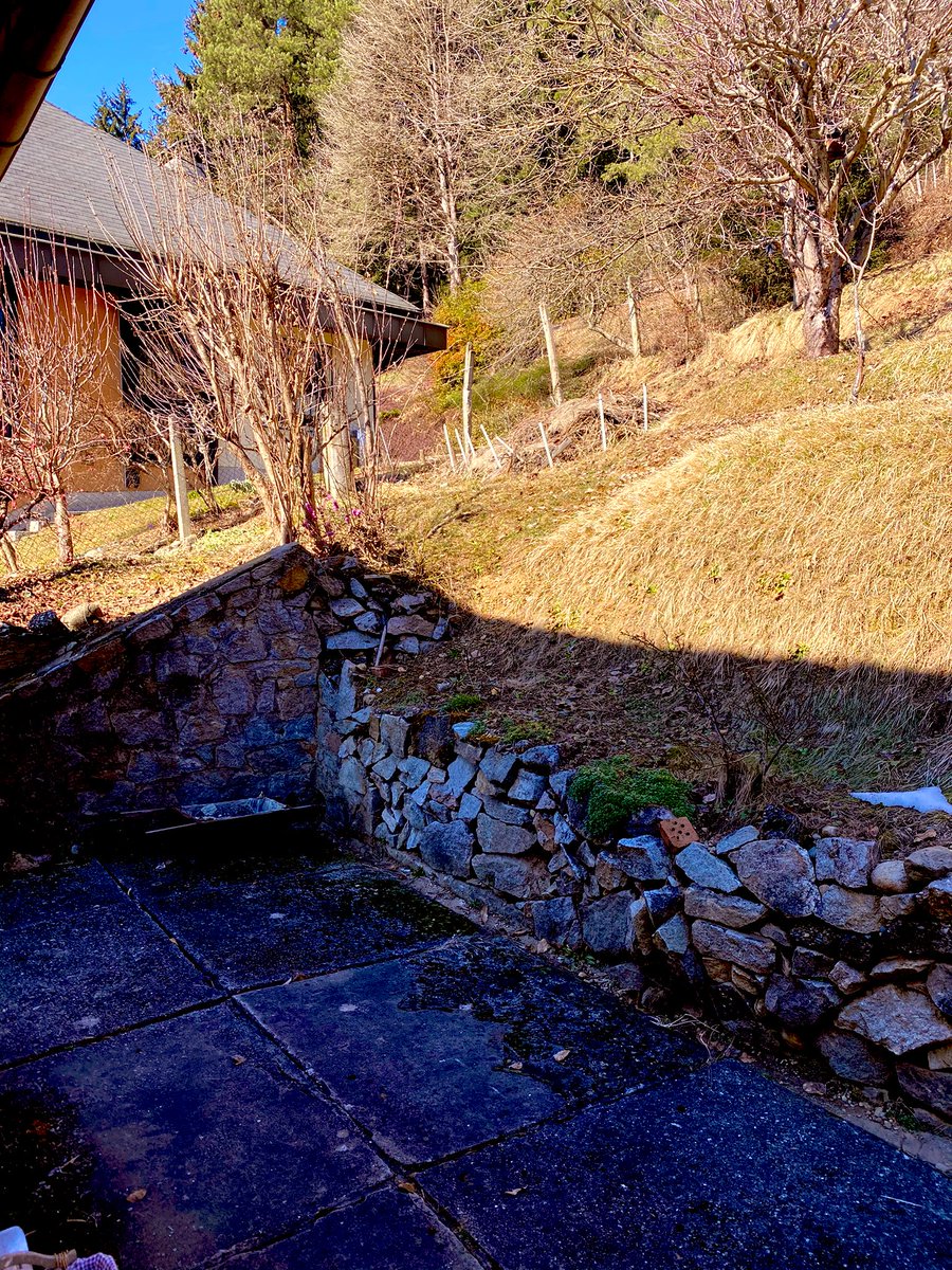 Man wachst an seinen Aufgaben🙈 Steinmauer setzen 👍👍#diy #gartenarbeit