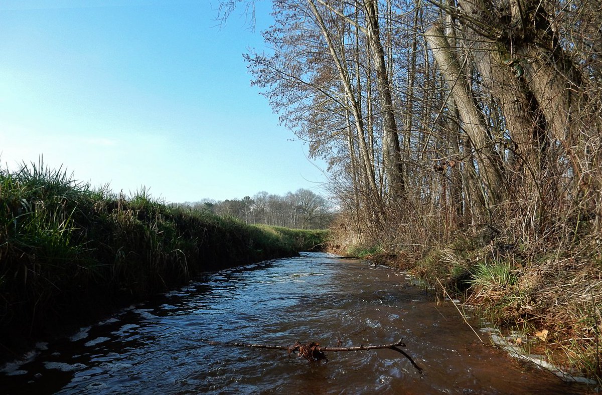 HeijdenJozef's tweet photo. De #Raamsloop kabbelt door het #HulselseLandschap.
@BoswachterFrans @Brab_Landschap @wddommel @IVNNederland https://t.co/wPFRz3D7RU