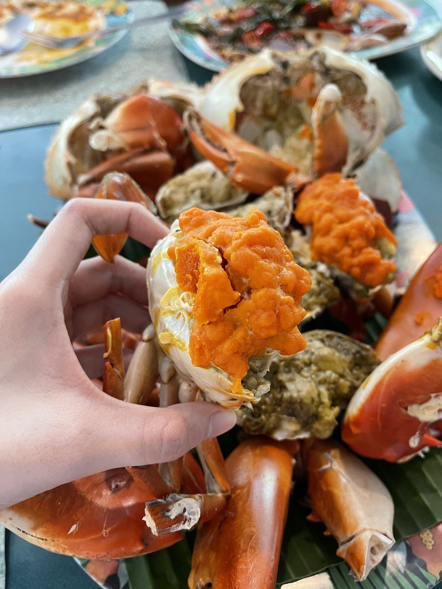 📍 ร้านเพ็ญ (ถนนจันทร์) 

กล้าพูดว่าคือร้านซีฟู๊ดที่ดีที่สุดร้านนึงที่เคยทานมา โดยเฉพาะปู ปูที่นี่ดีมาก ดีแบบคิดร้านที่ดีกว่านี้ไม่ออกเลยค่ะ อยากให้ลอง ต้มยำกุ้งกับผัดผักกระเฉดก็แนะนำ <a href="/aroii/">@aroii บอกต่อ</a>