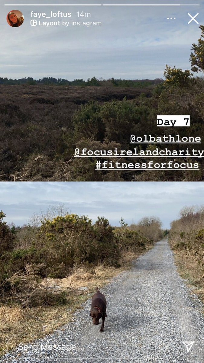 CathainOm's tweet photo. #fitnessforfocus #whataweek @OLBAthlone @FocusIreland 
Well done all, a huge success
👏👏🌟🌟💪💪🏃‍♀️🏃🏼‍♂️ https://t.co/BphSh4JUcO