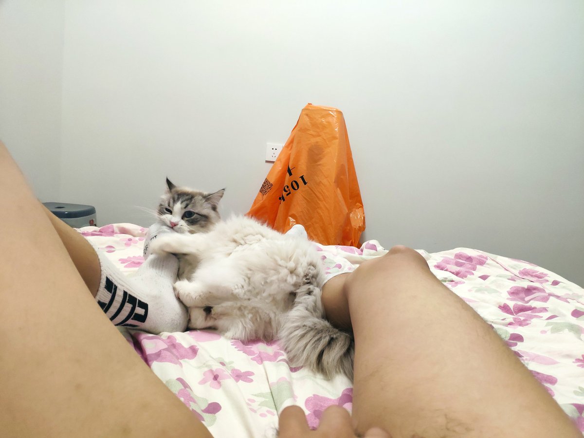 Mong (@rMongtsai) / Posts / X