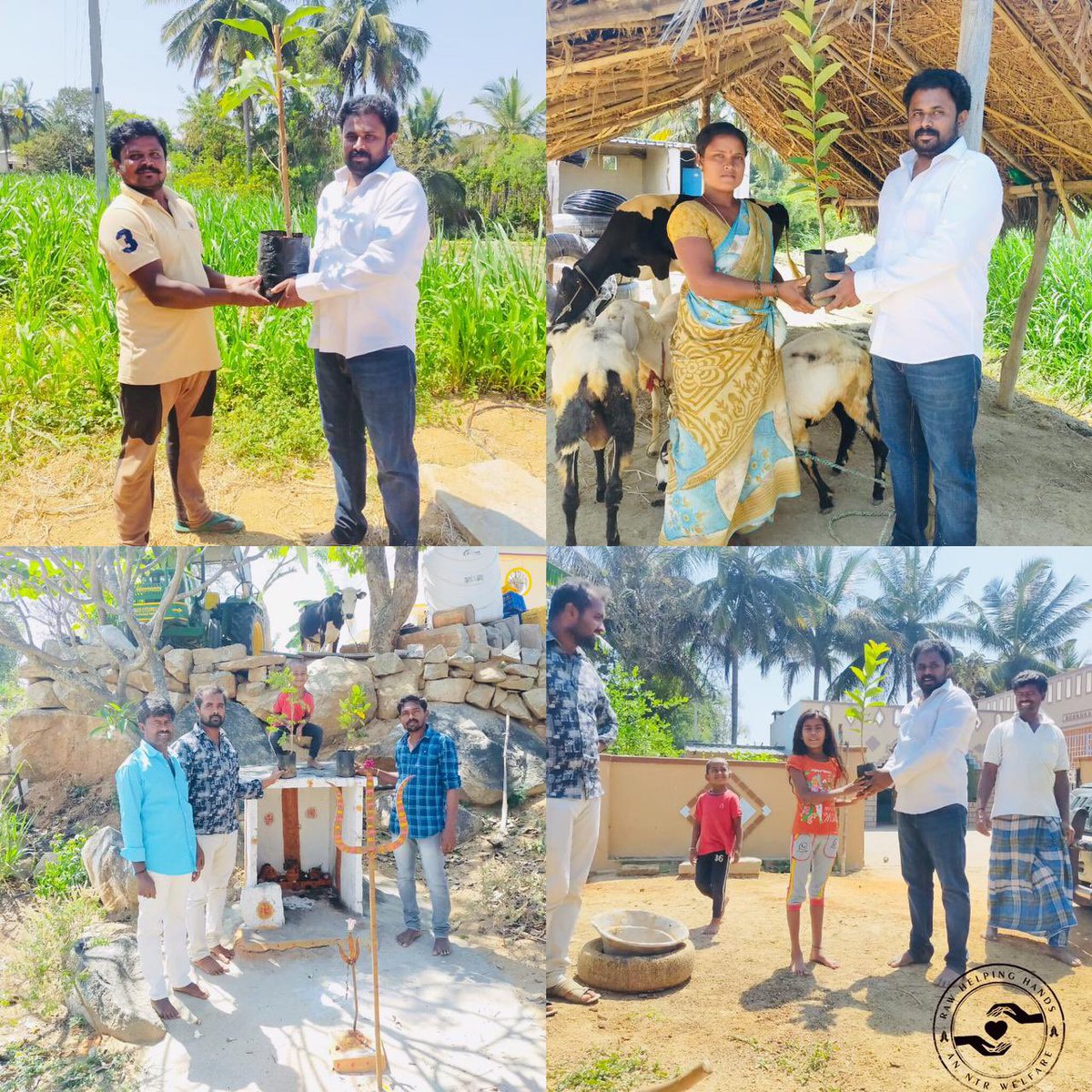 RAW NTR (@RAWNTR) on Twitter photo 2021-03-07 16:38:43 #TarakForNaTuRe 🌱 KUPPAM An #NTR Welfare #TarakForNaTuRe 🌱 KUPPAM An #NTR Welfare