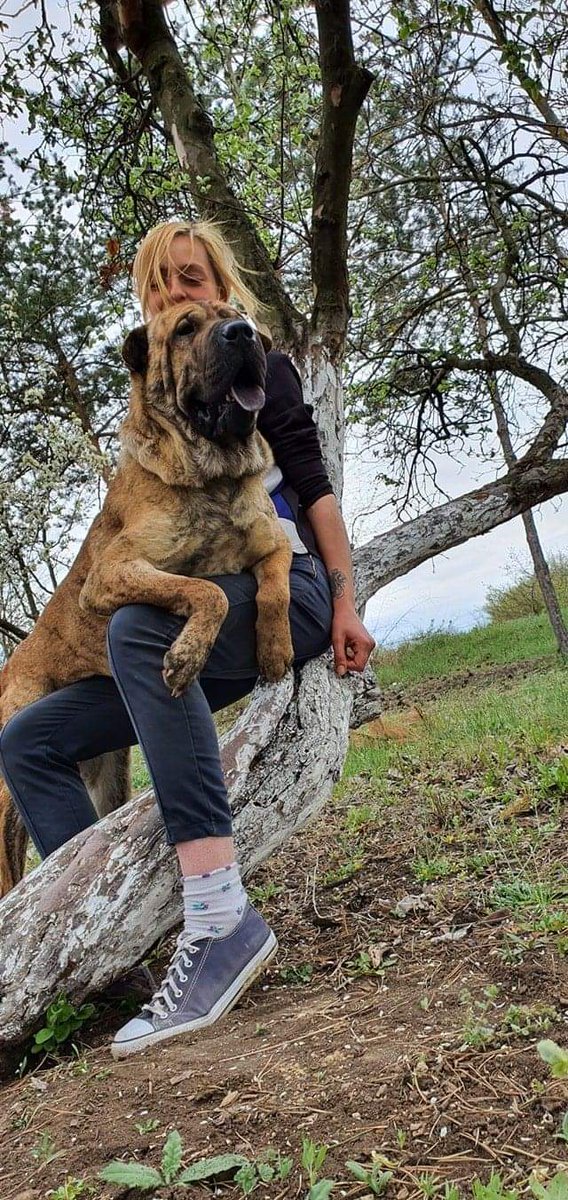 Tierfreunde Pirot tweet media