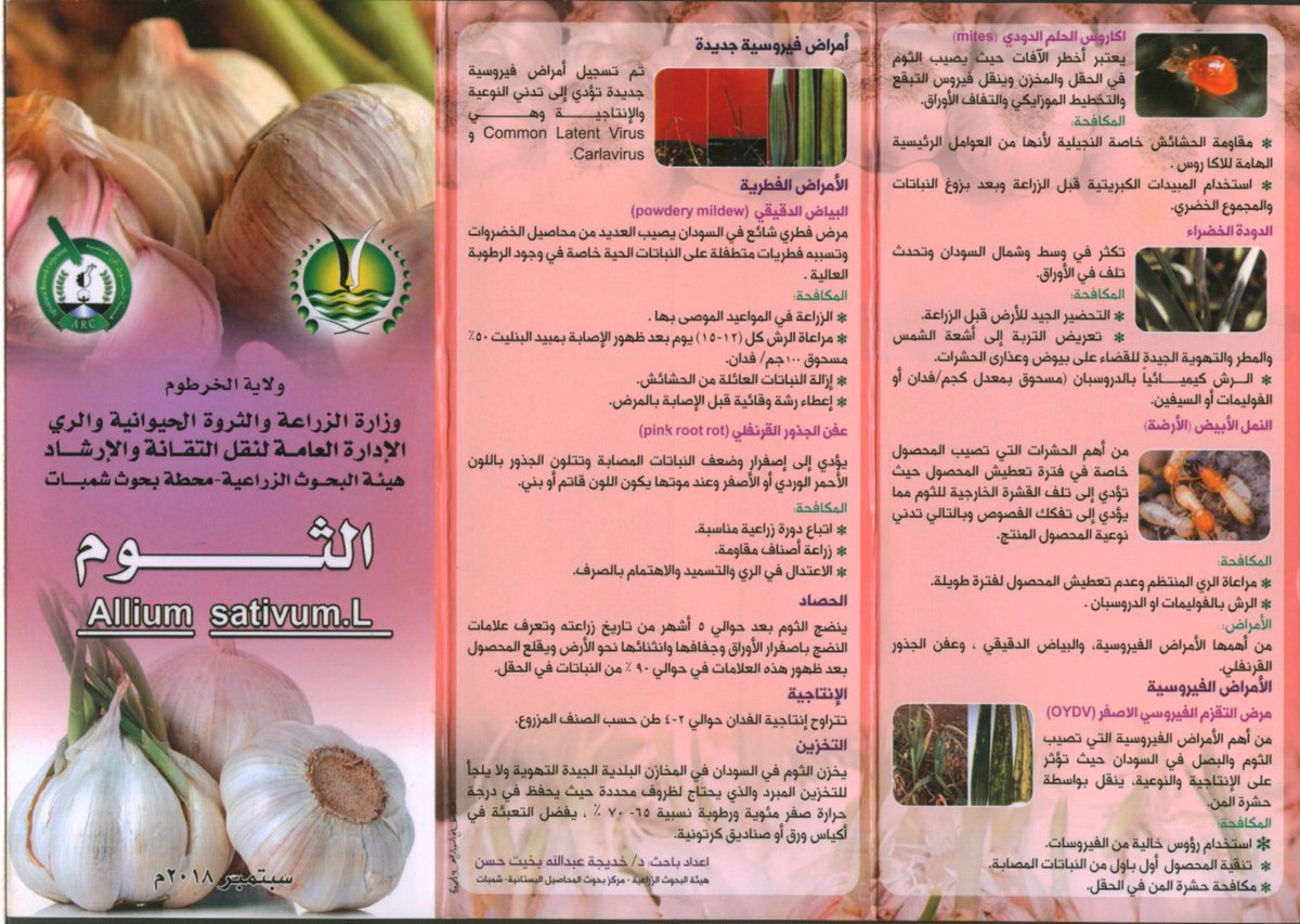 tteatwits's tweet photo. رابط تحميل نشرة  الثوم
https://t.co/X816FYWS36 https://t.co/fTYnAixqzS