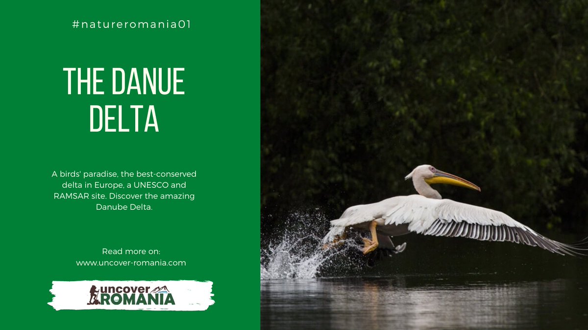 UncoverRomania's tweet photo. The most beautiful wetland of #Romania #DanubeDelta https://t.co/CtsaLZHcNT