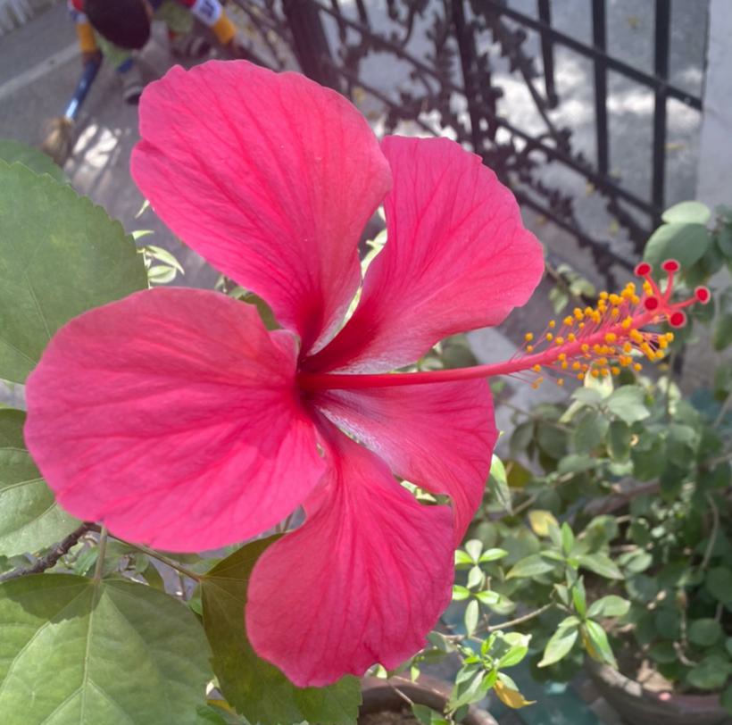Sukoontech's tweet photo. There is a small beauty at every imperfect corner. Have you thought about the beauties in imperfections? Look around yourself and find those beautiful things!
#sukoon #mindfulness #quote https://t.co/YgIm3V25UY
