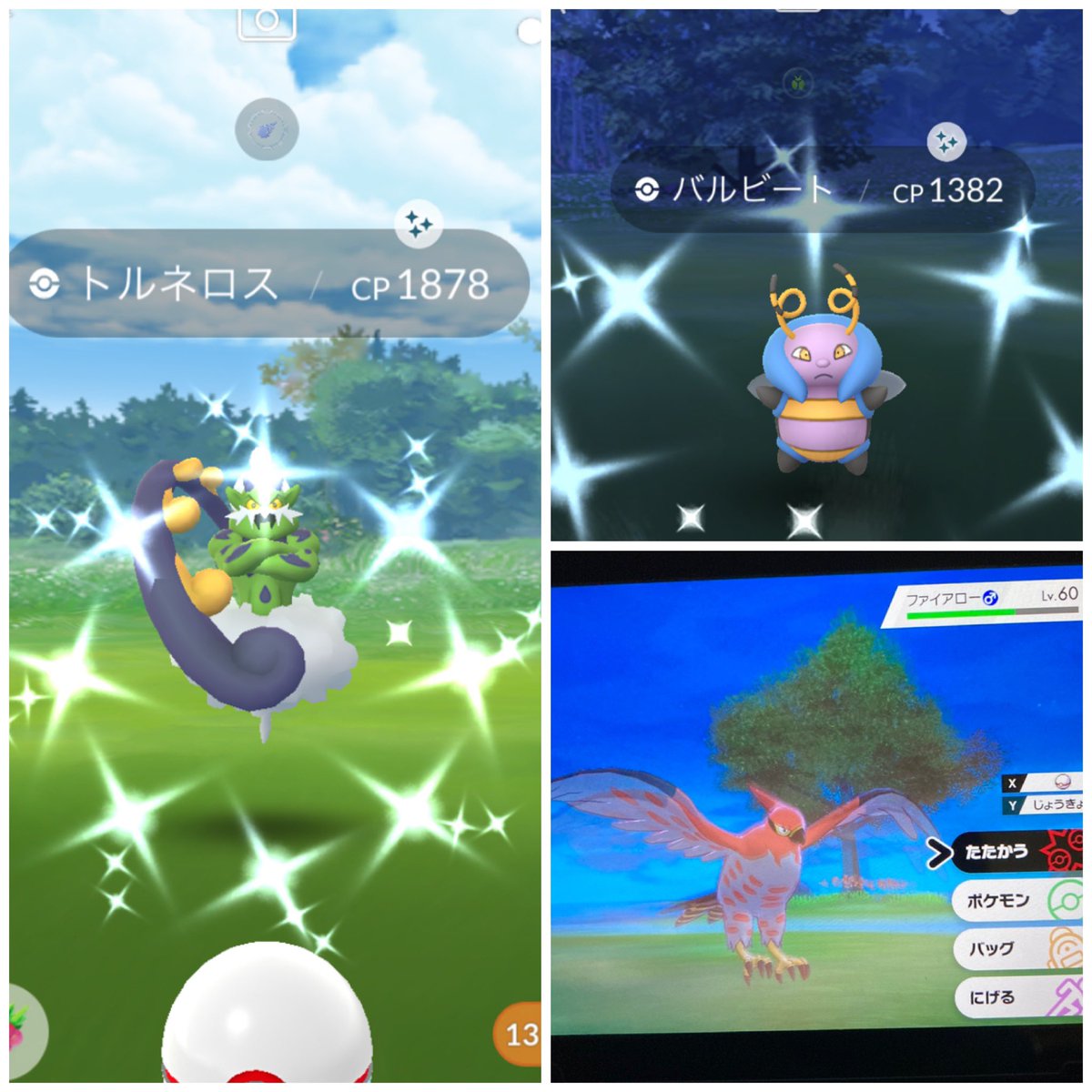 ポケモンgo ファイアローの色違い 入手方法と実装状況 攻略大百科 ポケモンgo ファイアローの色違い 入手方法と実装状況 攻略大百科