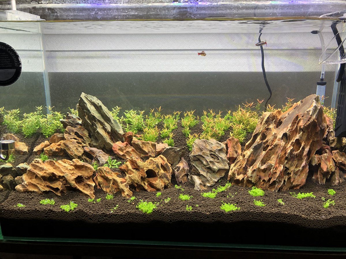 Sona 趣味垢 7724 Sona Twitter