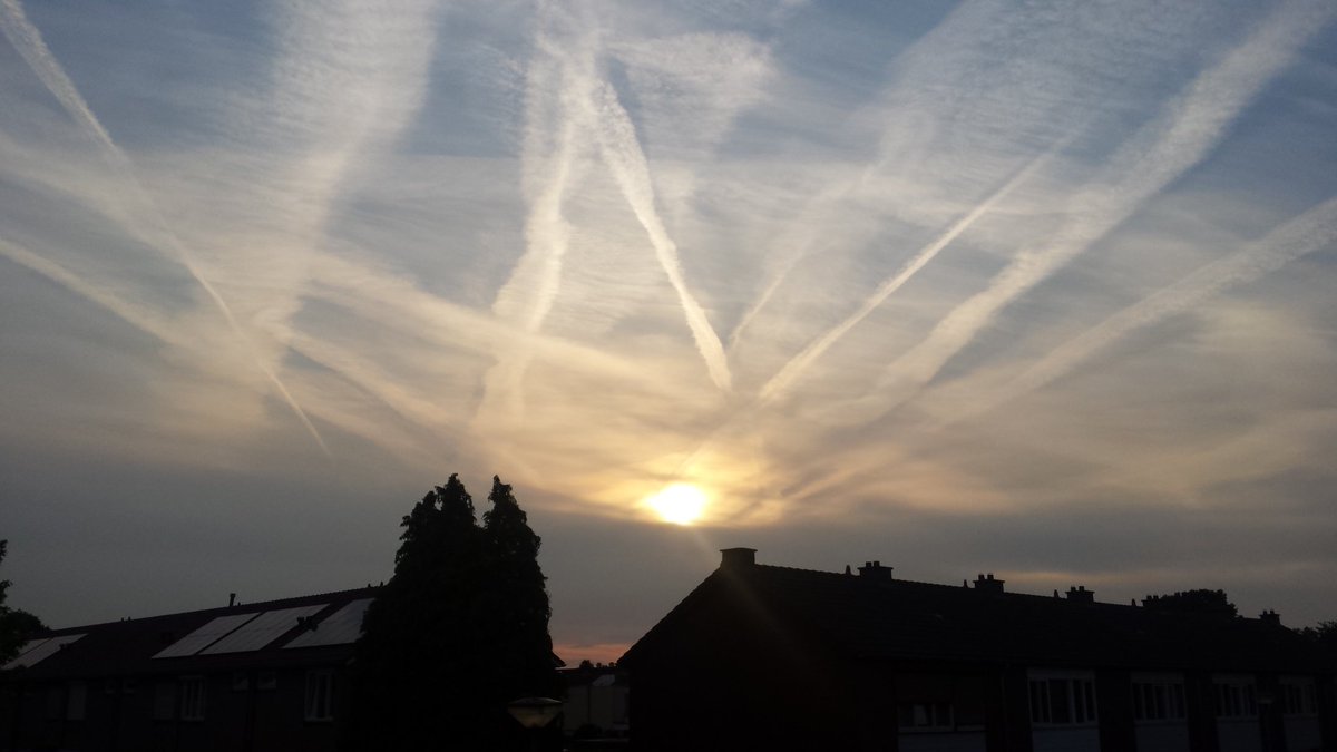 VOLG_DE_DATA's tweet image. 'HOMOGENITUS CIRRUS' #inyourface #menmade