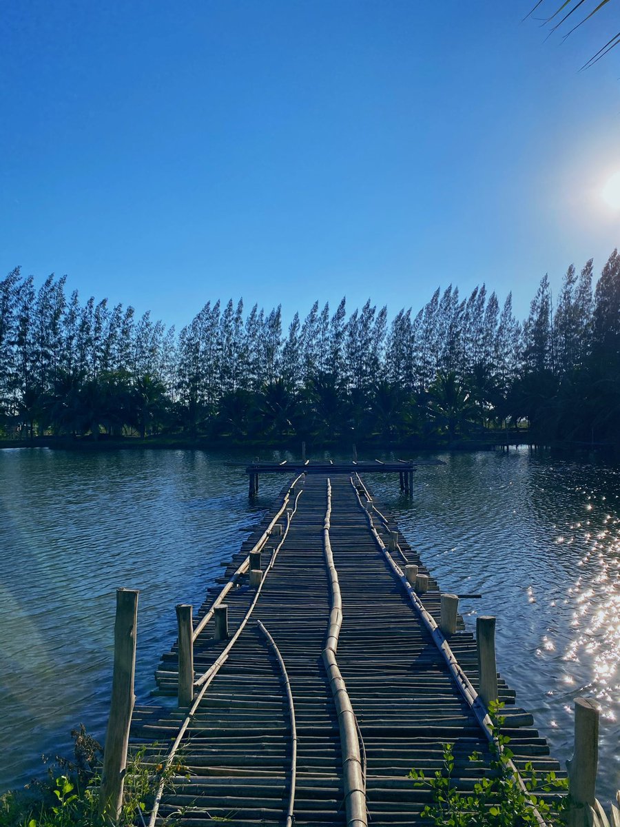 Beautiful sunshine☀️😊