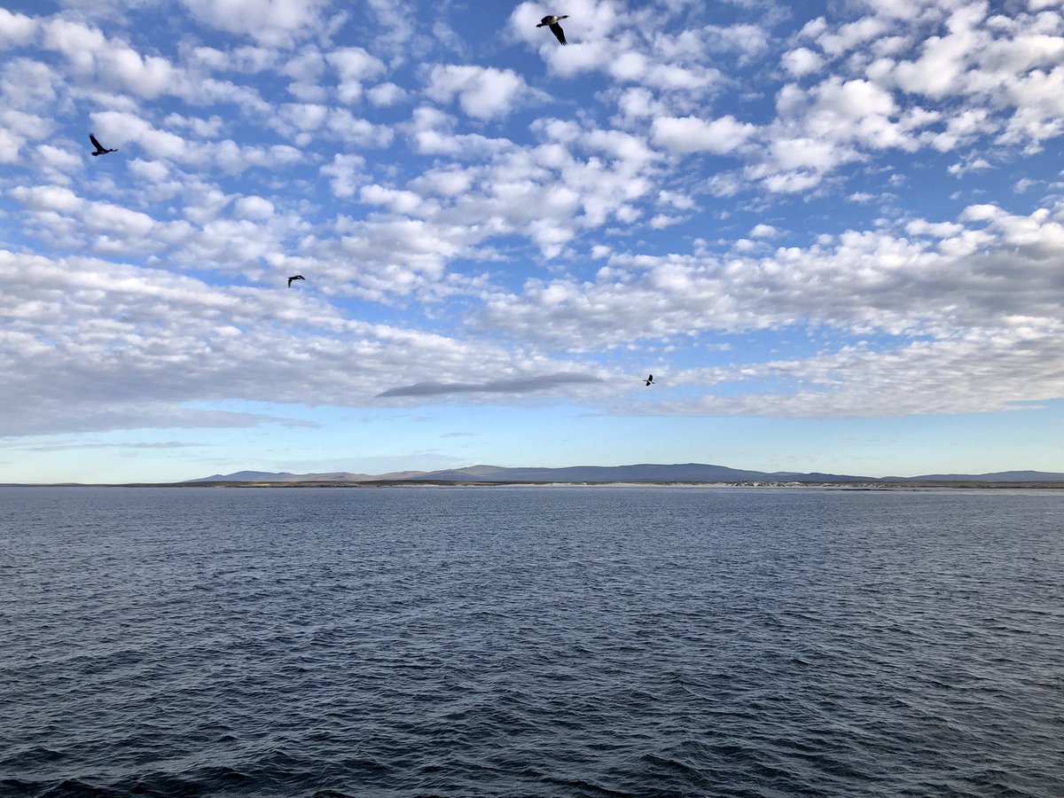 AliceMarzocchi_'s tweet photo. Science successfully completed! We’re back in the Falklands and it’s a beautiful morning #JC211 @NOCnews @BAS_News @NOCmarinePhys @ORCHESTRAPROJ https://t.co/XlSIRzCd6i