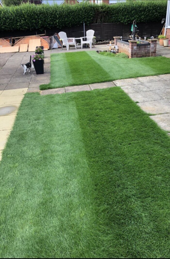hirons07GCG's tweet photo. Spring treatments to start this week.. please get in touch to get your lawn looking Summer ready 😎 https://t.co/mterLOvWxs