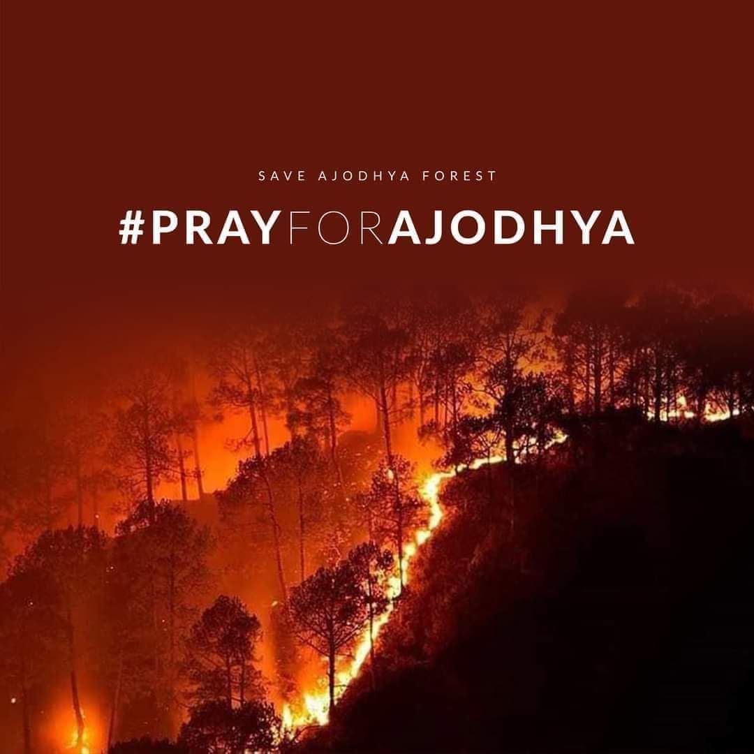 arpita_dg's tweet photo. Ajodhya Hills forests (Purulia, West Bengal) are burning.
But there is no news in media. The state is busy with elections.
It's heartbreaking neglect all over. We can only pray.
#prayforajodhya https://t.co/7olIMhXB5x