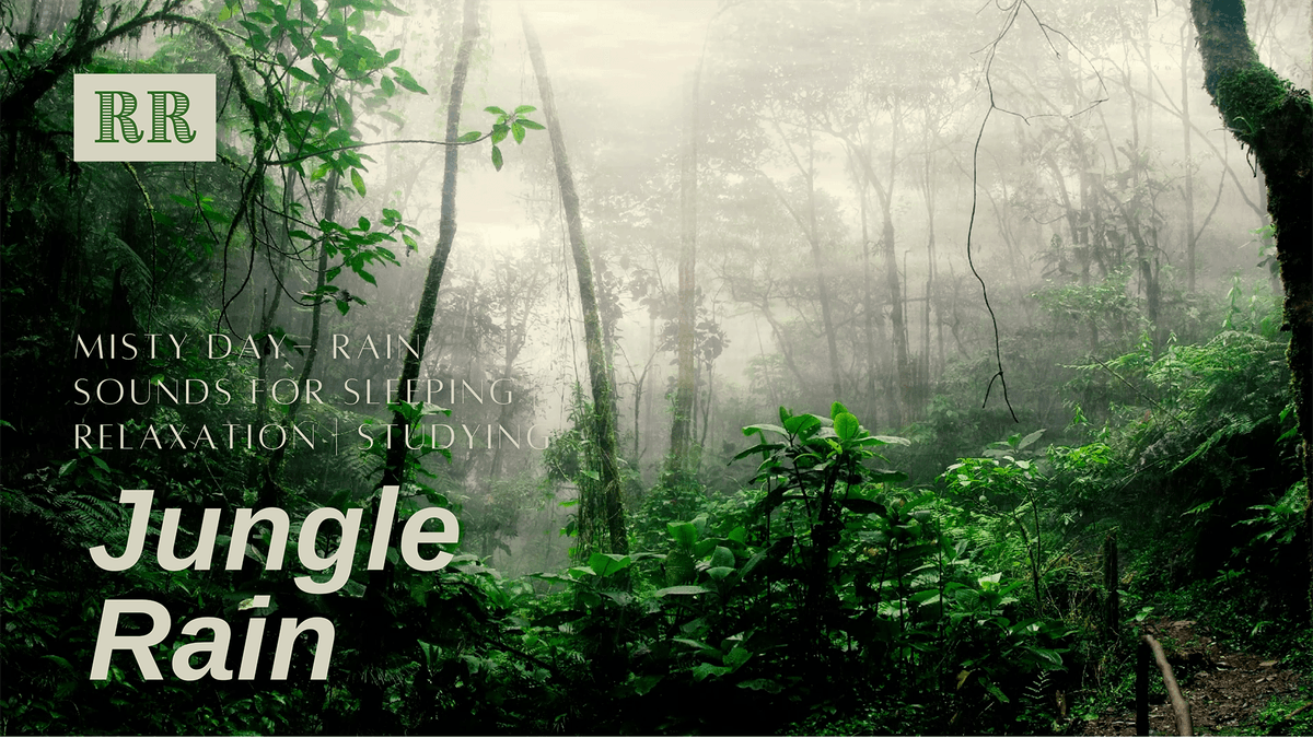 RelaxingRecharg's tweet photo. Jungle Rain on a Misty Day | ASMR

🎥https://t.co/3sXntSNzgf🎥

Check out our channel https://t.co/R9b115LZ4A

#Rain #sleep #relax #insomnia #rainsounds #sleepsounds #soothingrain #stopanxiety #stopstress #study #asmr https://t.co/QPYAhCiB3L