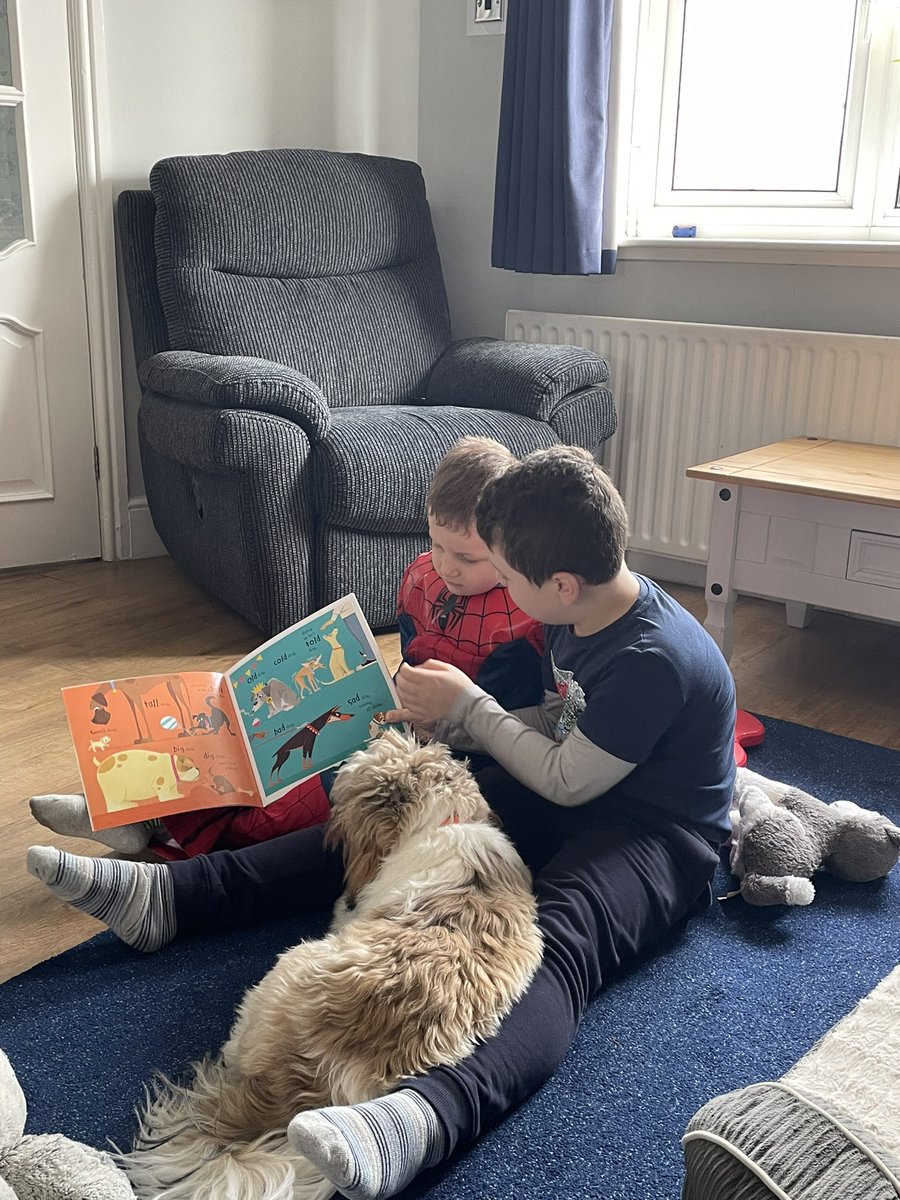 AliceGe94138355's tweet photo. Reading stars challenge....read to your pet #teddy #100dogs @churchfieldprim https://t.co/aVT1IbGtyu