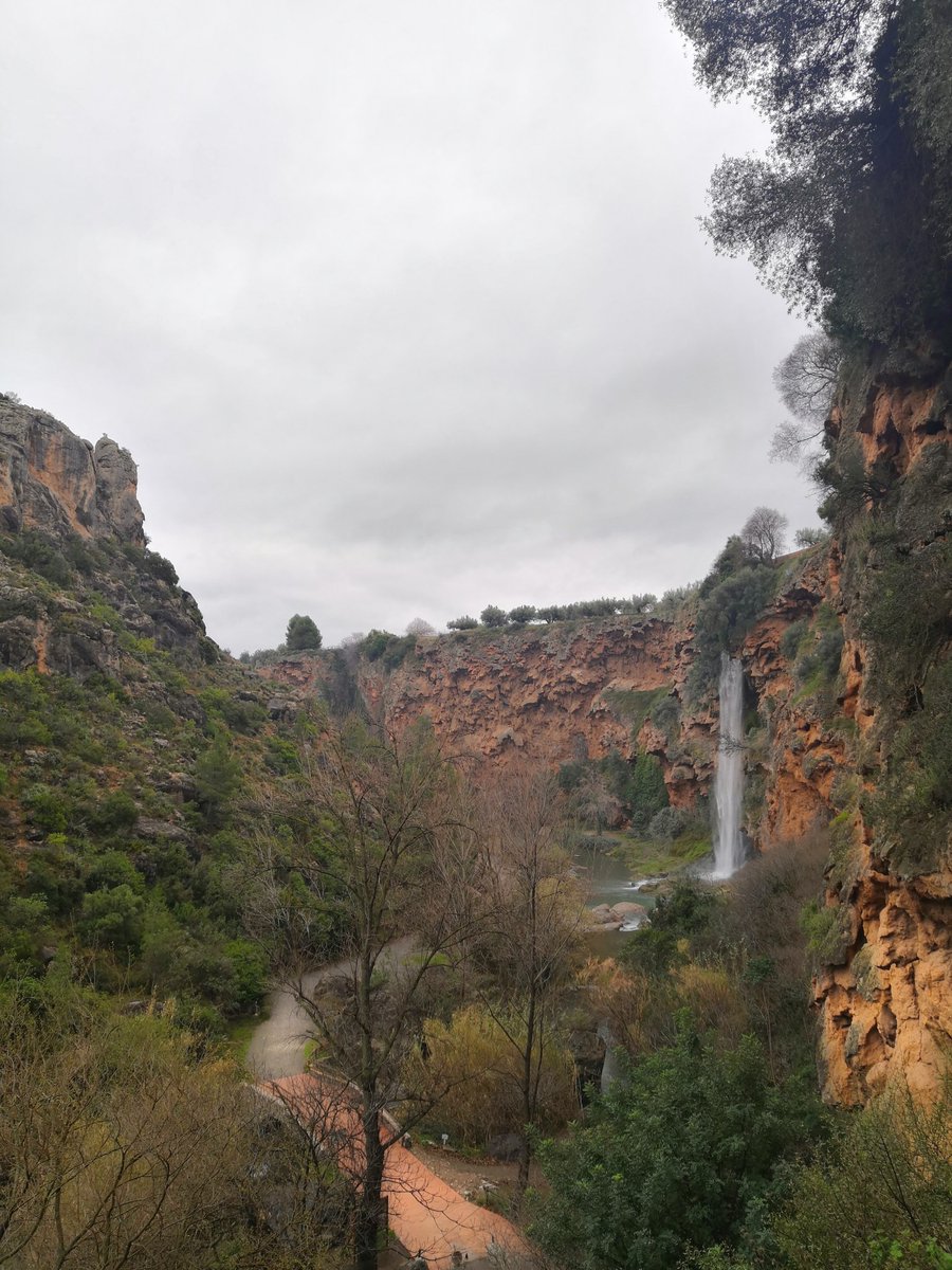 Al mal tiempo buena cara 🌲🍂. Los domingos no se perdonan 🏃‍♂️