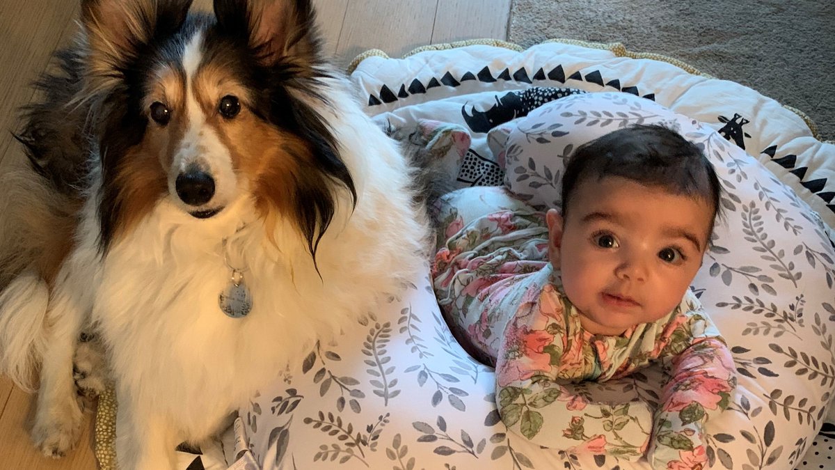 CIREtravel's tweet photo. Where will baby’s first international trip be? That’s a tough question when your mom's in the #travelbiz. Find out what tops @NYCTravelGal's list in the latest #8Questions at https://t.co/6Cp9jAz5TS. https://t.co/Yr4Q8F157M
#LuxuryTravel #BabysFirstTrip #ionlytravelwithCIRE https://t.co/DTVoPAFzaN