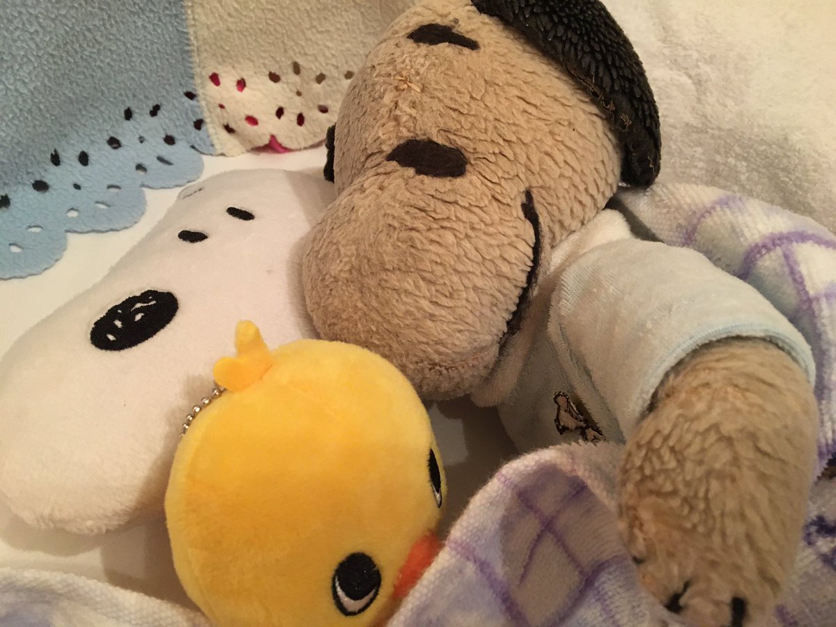 ヌー君の独り言 今日はママとお出かけして楽しい一日だったよ 明日はママがいないけど ちゃんとお留守番するよ じゃあ ママが来るまでヒヨコさんと寝てるね お友達のみなさん お休みなさい また明日ね ヌー君より スヌーピー ぬい撮り 寝る前 ヌー君の独り言 今日はママとお出かけして楽しい一日だったよ 明日はママがいないけど ちゃんとお留守番するよ じゃあ ママが来るまでヒヨコさんと寝てるね お友達のみなさん お休みなさい また明日ね ヌー君より スヌーピー ぬい撮り 寝る前