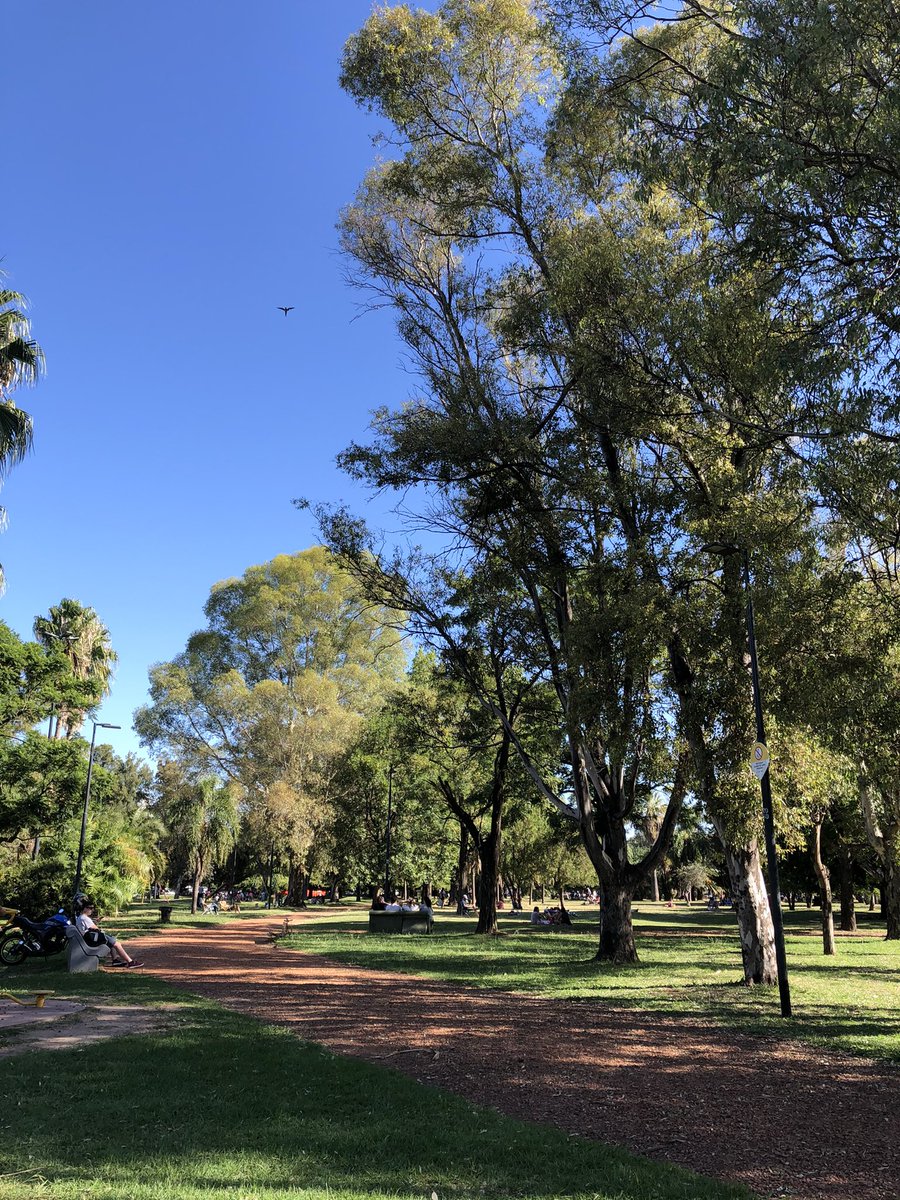 CabaVecina's tweet photo. Parque Mugica 🌳🌿 #BuenosAires 🇦🇷 https://t.co/ag14zwblaa