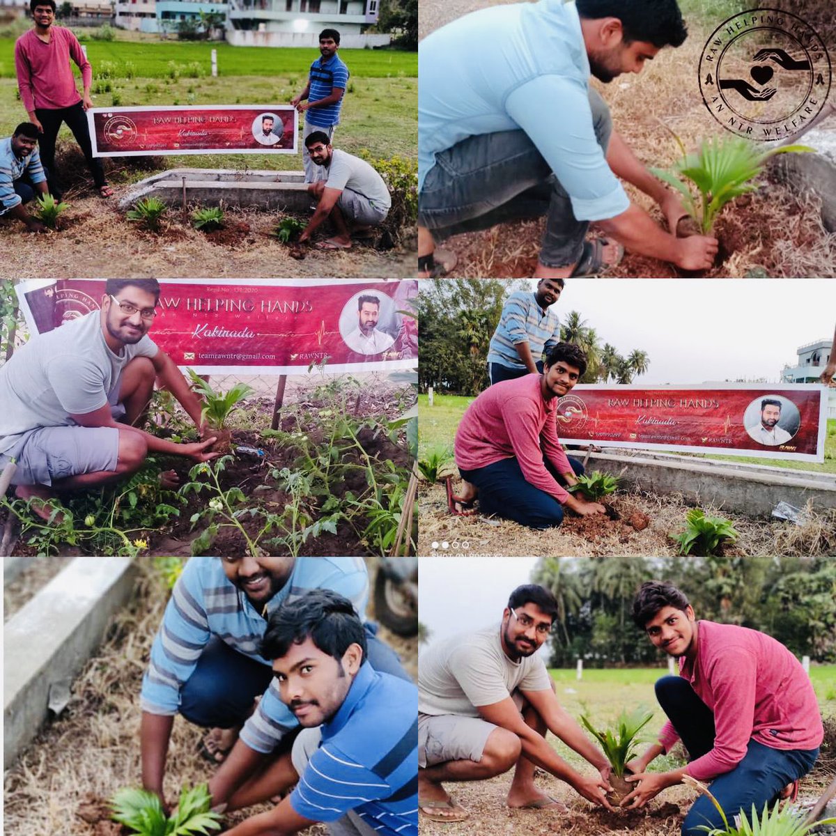 #TarakForNaTuRe 🌱 VIZAG | RAJAHMUNDRY DARSI | KAKINADA An #NTR Welfare