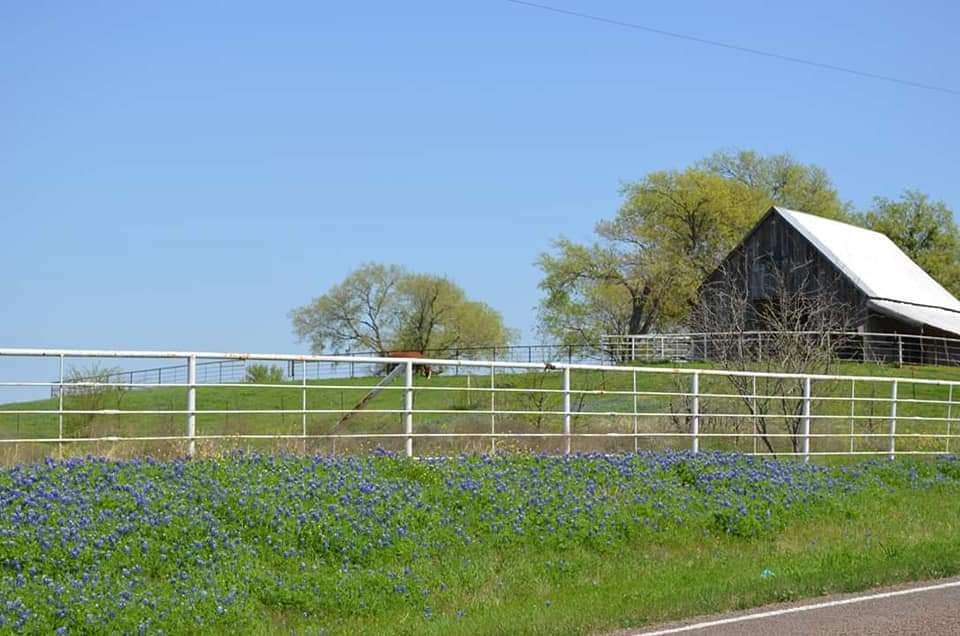 Robert Morrison tweet media