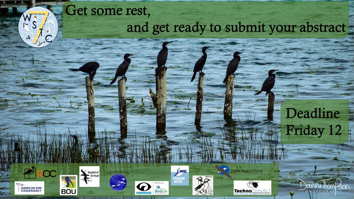 Seabirders's tweet photo. Happy Sunday #Seabirders
Get some rest today... and work on your #Seabird abstract tomorrow!🤓#WSTC7
There's time until 🗓️FRIDAY 12TH
@AvesArgentinas @PacificSeabirds @IBIS_journal @wsuchair @ABCbirds @penguinwatch @TheSeabirdGroup @EllaLilly @ROC_CL @TechnosmartEu
@apecoperu https://t.co/AtIqqwE56p
