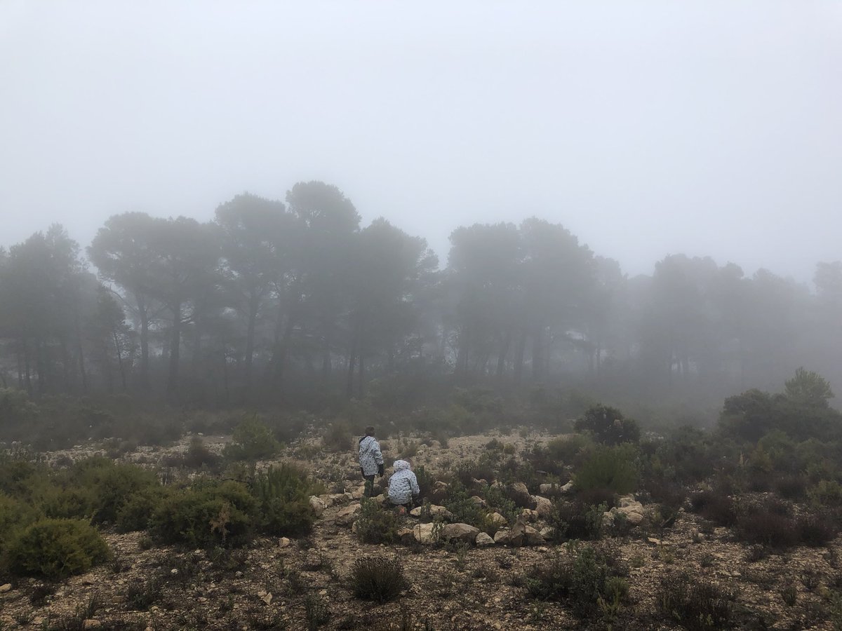 elmarquesdelpau's tweet photo. Es solo agua y no somos efervescentes....🤷🏻♂️🤷🏻♂️
Paseo matutino☺️☺️#biofilia #maigmo #lamillorterretadelmon #sinfiltros #foggy #niebla #lluvia #misty https://t.co/7fBl3KO6Kn