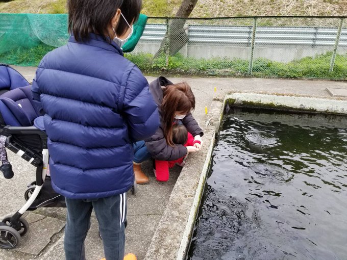 ニジマスうまかった  充実した一日でございました！ https://t.co/vaanY790HC<a href="/tag/%E3%83%A6%E3%83%A1%E3%83%88%E3%83%8E%E3%81%A1%E3%82%83%E3%82%93%E3%81%AD%E3%82%8B"class="tags"><span>#ユメトノちゃんねる</span></a>
