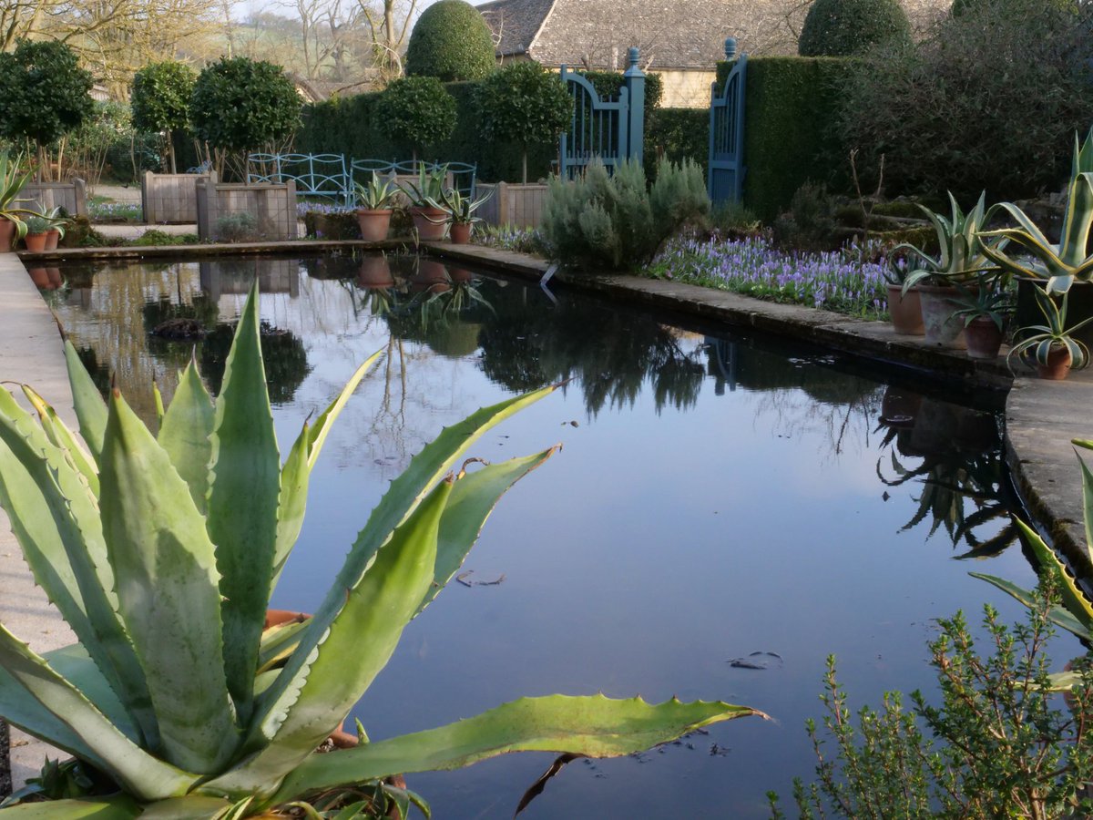 Although temperatures are still fluctuating, nature is definitely on the move! Frogs are visiting the Mirror Pool and our Great Crested Newts are swimming in the Lily Pool...maybe you can catch a glimpse of these wonderful creatures on your next visit!