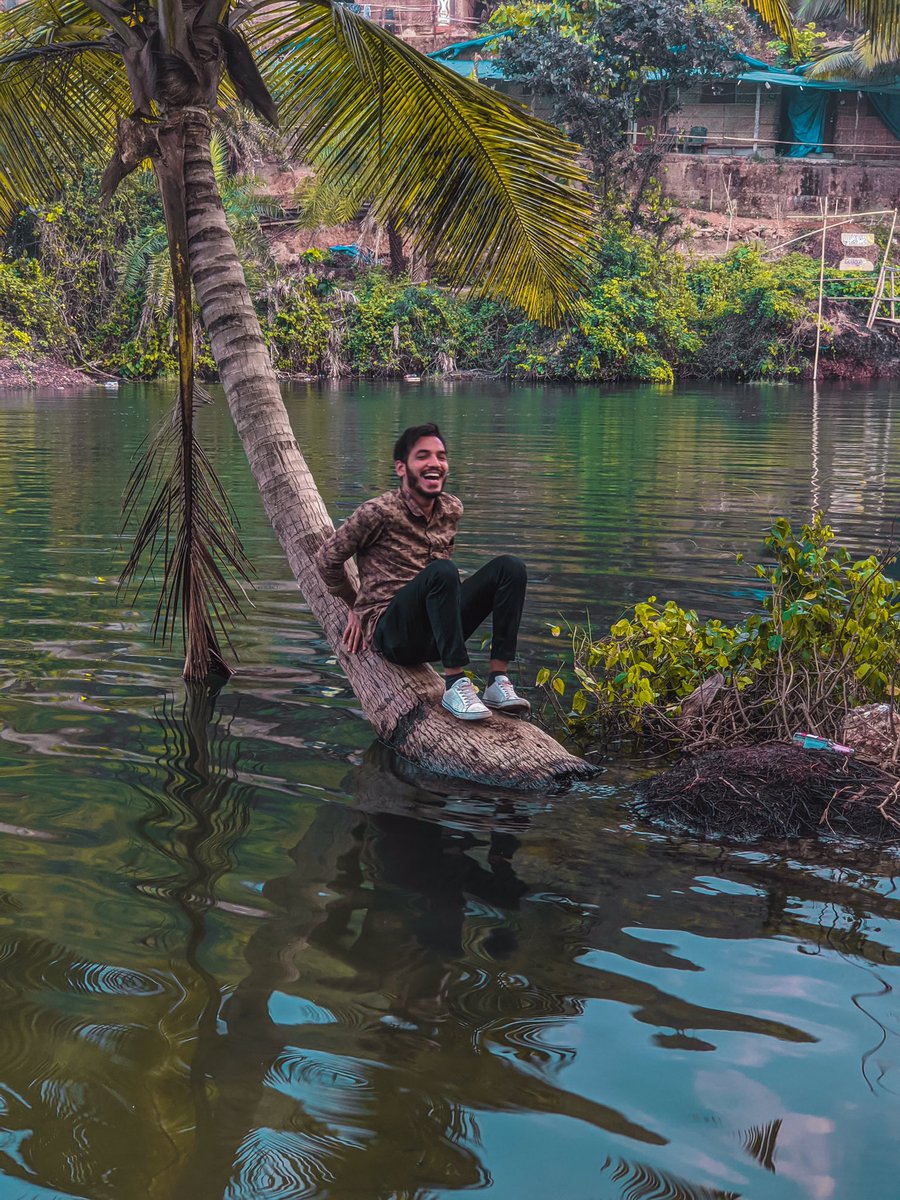 prathamesh210's tweet photo. Don’t know how people click photos on this coconut tree
@sweetlakearambol #goa #sweetlakearambol #arambol #sweetlake #coconuttree https://t.co/AJSlJ8qkJX