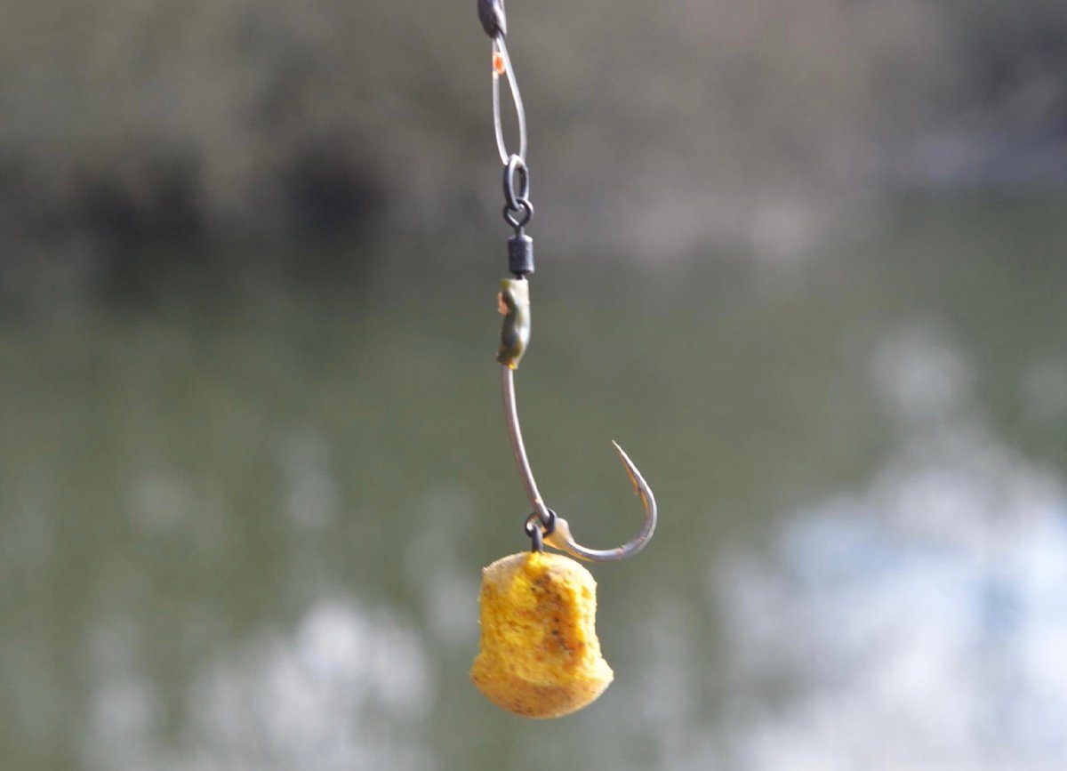 jhbaits's tweet photo. Do you whittle your baits down or use them as a whole? 

https://t.co/JZuUWtDKCQ 

#JHBaits #nocompromiseonquality #thefuture #HighAttract #pineapple #popup #karpfenangler #carpphotography #carpfishinglife #carpanglinguk #carp #bigcarp #commoncarp #mirrorcarp #carpangler #angler https://t.co/ccinOkmlQI