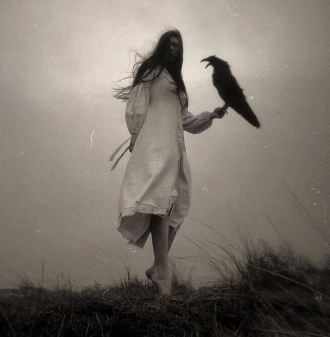 SophiCol tweet media