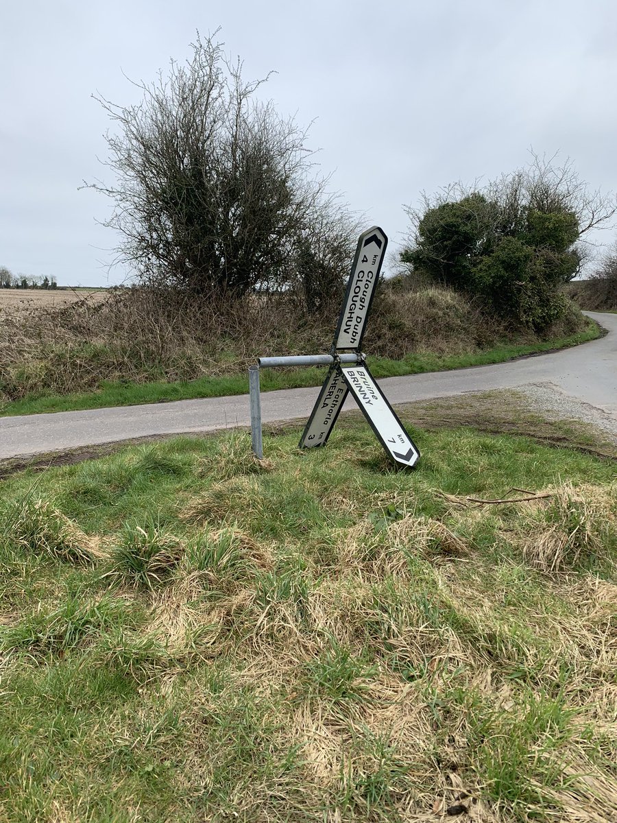 Olive Roberts tweet media