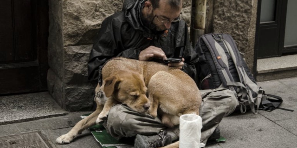 dogsciencesays's tweet photo. Homeless people often think of their dogs as kin. Being refused access to homeless services because of their dog leaves them frustrated.

Anthrozoös, Feb 2021
Link to paper: https://t.co/HDx11PMZeU https://t.co/2UQgIAp8AA