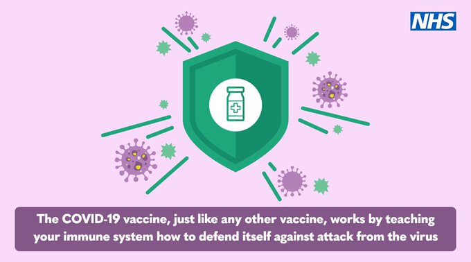 The COVID-19 vaccine, just like any other vaccine, works by teaching your immune system how to defend itself against attack from the virus.
