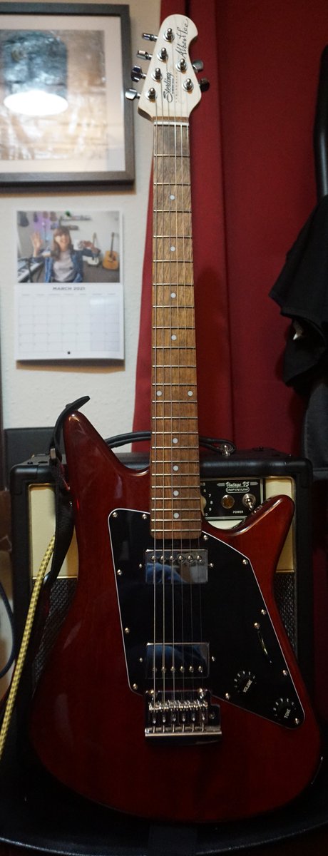 MartinKnight's tweet image. #andertonsmademedoit