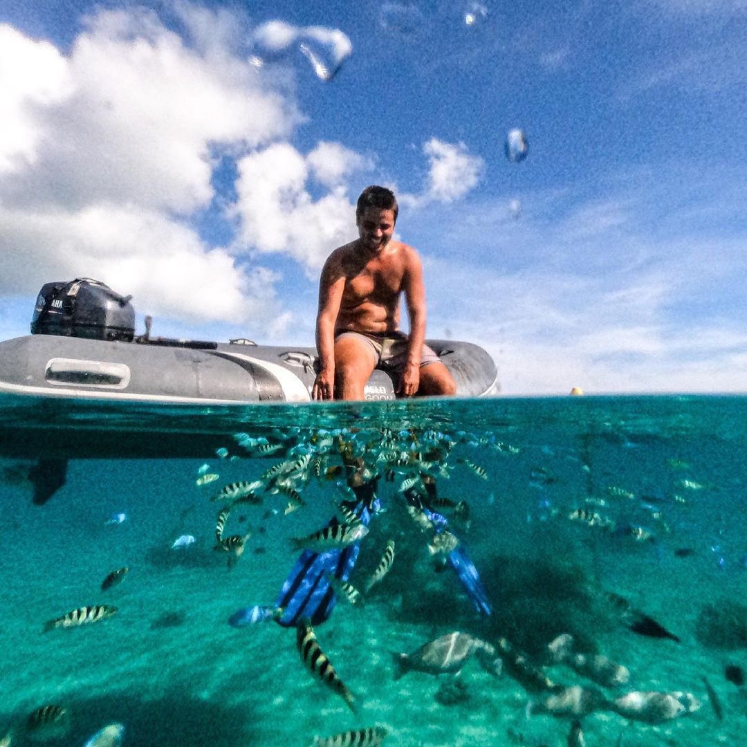 When the sea is alive 😍🐠

📸 Unforgettable Sailing // #highfieldboats #daretoexplore