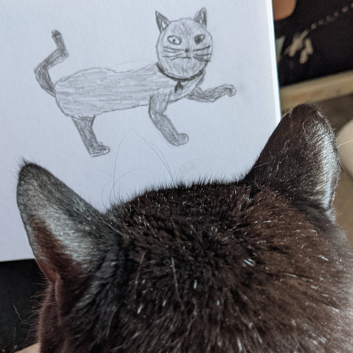 rebootingme's tweet photo. #DailyDrawingForMarch Day 07 and Addie is inspecting my drawing and I think she approves on adoption day https://t.co/7efqcbK7vA