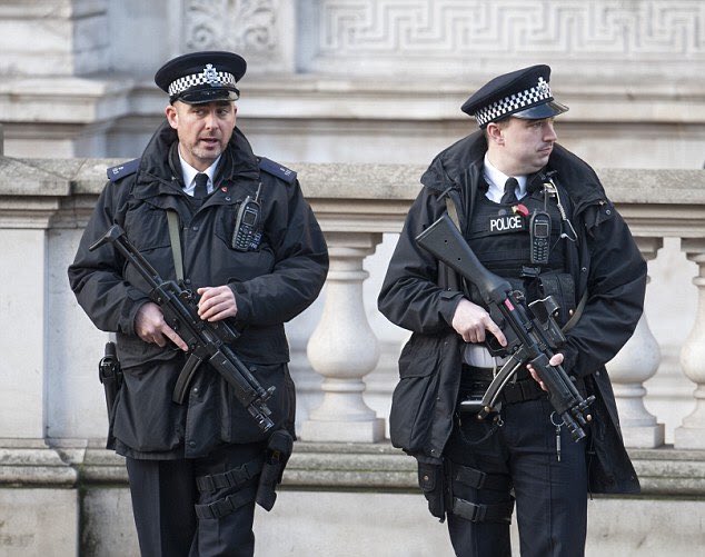 ロンドン警視庁やその他英警察のMP5、HK33によく使われています。