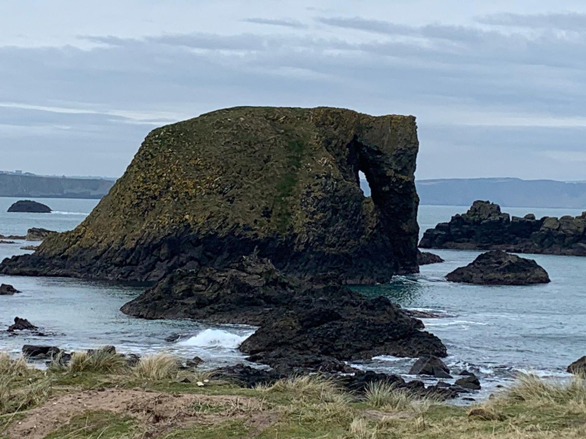 sheepislandview's tweet photo. Delighted to have this on our doorstep and enjoy a beautiful walk on the #CausewayCoast this morning but we can’t wait to see you all back with us in #Ballintoy 🔜 🤞🏼 https://t.co/qeCQsr47s2