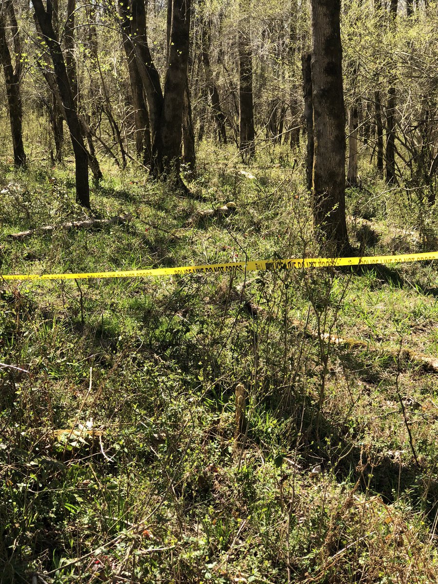 I’ve read enough great books by <a href="/Stephenking/">Stephen King</a>, worked on #HorrorMovies/#spn to know... If you ever veer off the path from a hiking area only to see #skulls, police tape &amp; an #abandoned school bus. Perhaps maybe you shouldn’t keep walking that way(no bus photo, trying to #getout)