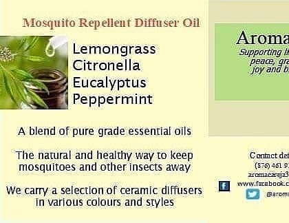 Aromacareja's tweet photo. Our bestselling #MosquitoRepellent #diffuseroil https://t.co/Asbje2dIzE