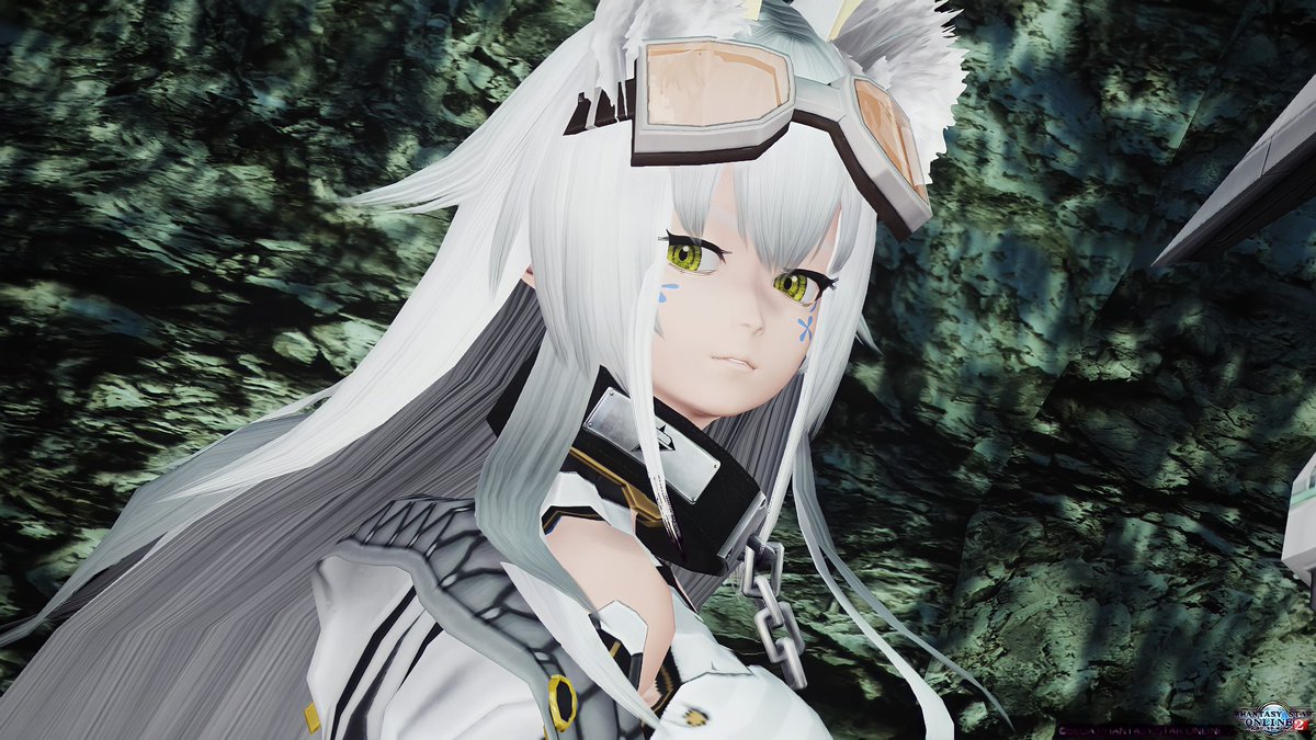 たにし お試しジト目ngsフェイス Ngs顔 Pso2 たにし お試しジト目ngsフェイス Ngs顔 Pso2